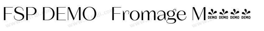 FSP DEMO   Fromage M字体转换